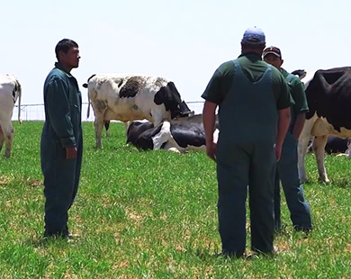 farmers at work