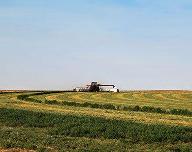 farmers at work