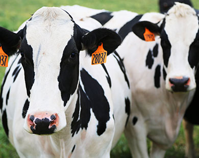 technology and farming